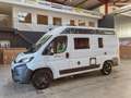 Chausson V594S FIRST LINE  / MODELL 2026 / NUR 5.41M. Blanc - thumbnail 7