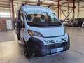 Chausson V594S FIRST LINE  / MODELL 2026 / NUR 5.41M. Blanc - thumbnail 9