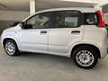 Fiat Panda Panda III 2012 1.2 Easy 69cv E6 Argento - thumbnail 6