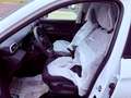 MG ZS KM 0 - 10/25 - FULL OPTIONAL - PROMO FINANZIAMENTO Bianco - thumbnail 11