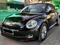 Volkswagen Beetle Beetle Cabrio 1.6TDI Design 105 Design Negro - thumbnail 8