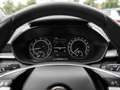 Skoda Fabia 1.0 MPI Ambition PDC SHZ GRA Klima DAB+ Silber - thumbnail 11