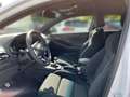 Hyundai i30 Fastback N Performance 2.0T Navi LED Sperrdiff. Ap Blanco - thumbnail 7