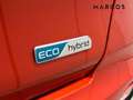 Kia Niro 1.6 HEV Drive Orange - thumbnail 20