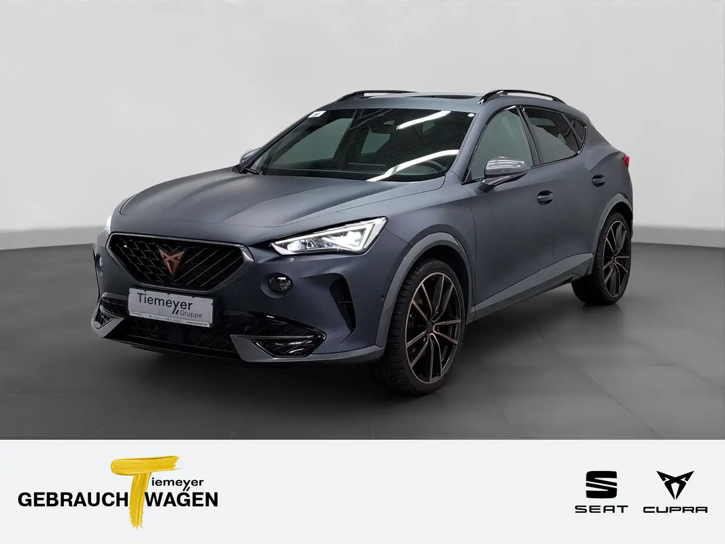 CUPRA Formentor 2.0 TSI DSG VZ 4Drive MATT NAVI PANO A Grau - 1