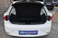 SEAT Leon SC 1.2 TSI Reference Sitzheizung Klimw Blanc - thumbnail 15