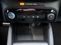 Ford Kuga 2.5 PlugIn HYBRID ST-Line X |MatrixLED|19"| Blau - thumbnail 28