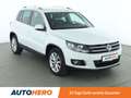 Volkswagen Tiguan 2.0 TDI Lounge Sport & Style BMT*NAVI*PDC*SHZ* Weiß - thumbnail 8