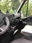 Renault Master Master   L3H2 1918 Weiß - thumbnail 12