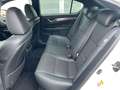 Lexus GS 250 F Sport /Leder/AHK/2.Hd/deutsch/SHZ/usw.. Weiß - thumbnail 12