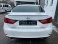 Lexus GS 250 F Sport /Leder/AHK/2.Hd/deutsch/SHZ/usw.. Weiß - thumbnail 5