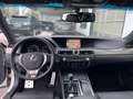 Lexus GS 250 F Sport /Leder/AHK/2.Hd/deutsch/SHZ/usw.. Weiß - thumbnail 9