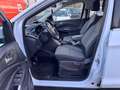 Ford Kuga Trend,Klima,LED SW,PDC,SHZ,Lenkradheizung,GARANTIE Blanc - thumbnail 11