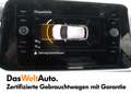 Volkswagen T-Roc Life TSI DSG Grau - thumbnail 10