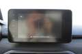 Dacia Sandero Sandero Expression TCe 90 Grau - thumbnail 11