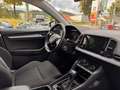 Skoda Karoq Style 4x4 Grau - thumbnail 13