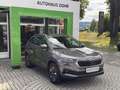 Skoda Karoq Style 4x4 Grau - thumbnail 1