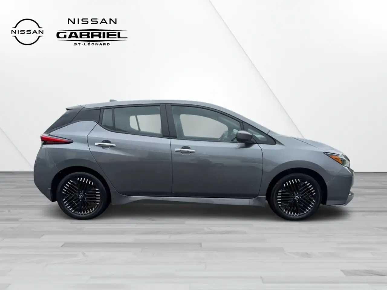 Nissan Leaf fotografie Nissan Leaf