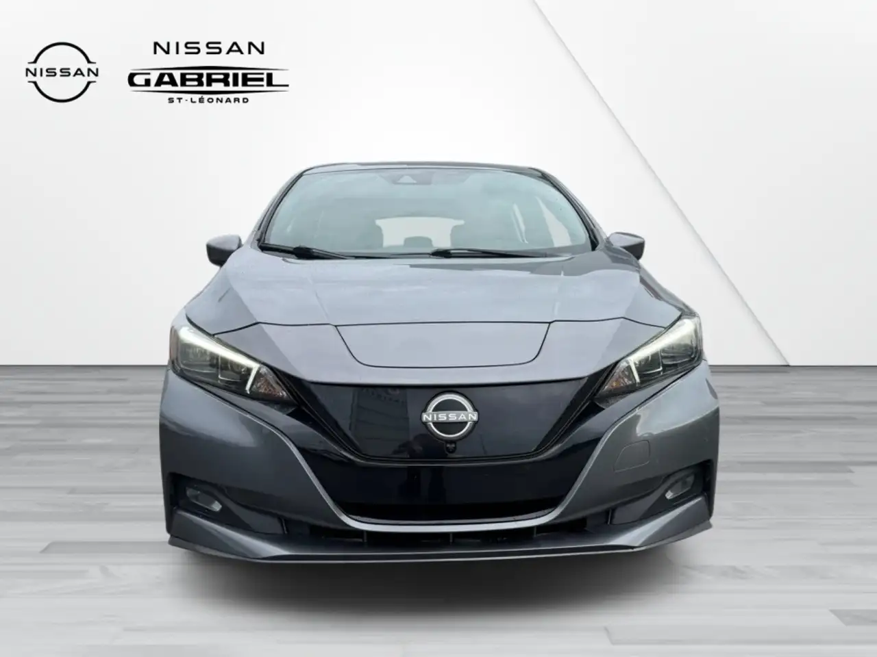 Nissan Leaf fotografie Nissan Leaf