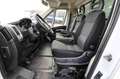 Fiat Ducato Chasis Cabina 2.3MJET Blanco - thumbnail 21