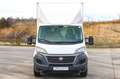 Fiat Ducato Chasis Cabina 2.3MJET Blanco - thumbnail 3