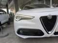 Alfa Romeo Stelvio 2.2 Turbo Q4 Diesel AT8 Business 190 CV Weiß - thumbnail 3