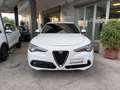 Alfa Romeo Stelvio 2.2 Turbo Q4 Diesel AT8 Business 190 CV Weiß - thumbnail 2