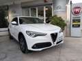 Alfa Romeo Stelvio 2.2 Turbo Q4 Diesel AT8 Business 190 CV Weiß - thumbnail 1