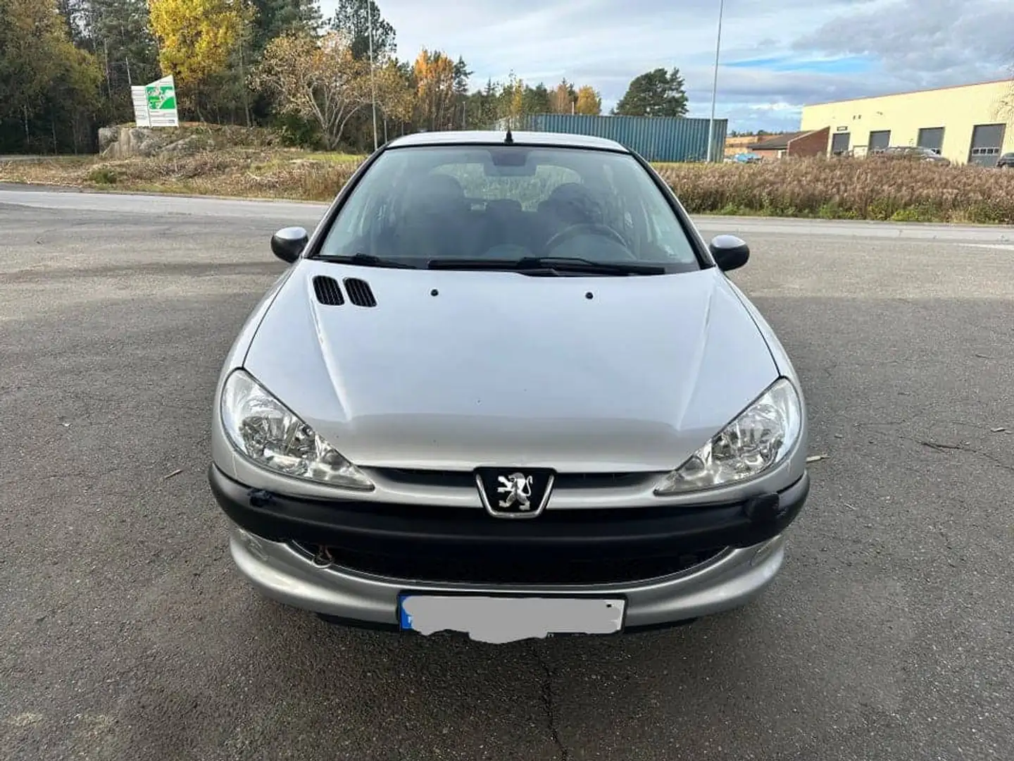 Peugeot 206 206 SW 2.0i 16V S16 - 2