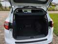 Ford C-Max C-Max 1.0 EcoBoost Start-Stopp-System Trend Weiß - thumbnail 8