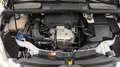 Ford C-Max C-Max 1.0 EcoBoost Start-Stopp-System Trend Weiß - thumbnail 14