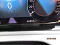 Volkswagen Golf Life Grau - thumbnail 12