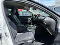 Citroen C5 X 1.2 PureTech Shine *Automaat* Bianco - thumbnail 12