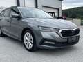 Skoda Octavia 2.0 TDI DPF Ambition 4x4 ALLRAD (EURO 6d) * AHK... Grau - thumbnail 13