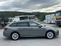 Skoda Octavia 2.0 TDI DPF Ambition 4x4 ALLRAD (EURO 6d) * AHK... Grau - thumbnail 6