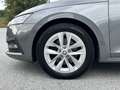 Skoda Octavia 2.0 TDI DPF Ambition 4x4 ALLRAD (EURO 6d) * AHK... Grau - thumbnail 11