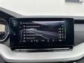 Skoda Octavia 2.0 TDI DPF Ambition 4x4 ALLRAD (EURO 6d) * AHK... Grau - thumbnail 34