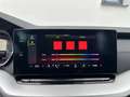 Skoda Octavia 2.0 TDI DPF Ambition 4x4 ALLRAD (EURO 6d) * AHK... Grau - thumbnail 30
