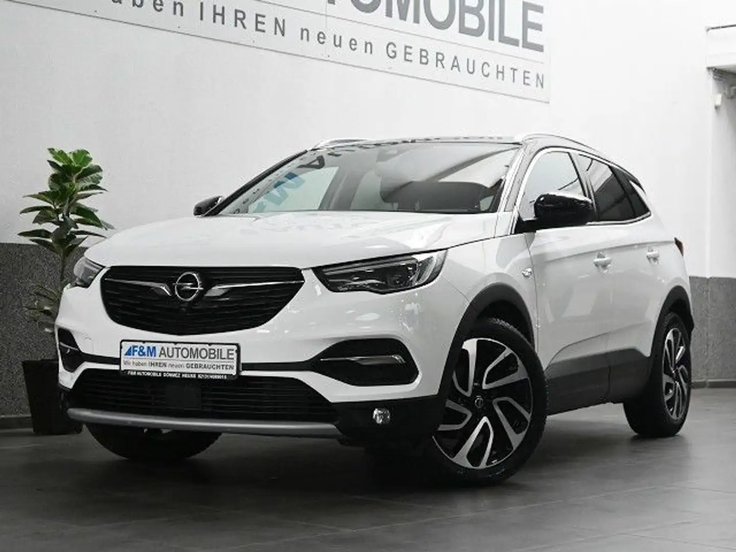 Opel Grandland X Ultimate Navi Leder R-Kam ACC Weiß - 2