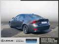 Lexus IS 300 h F-Sport Mark Levinson SD Totwinkel /ACC Brąz - thumbnail 3