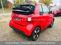 smart forTwo Cabrio Perfect 90PS AUTOM/KLIMA/SITZH/2.H Braun - thumbnail 3