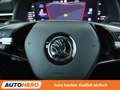Skoda Kamiq 1.5 TSI ACT Monte Carlo Aut.*NAVI*LED*CAM*ACC* Gris - thumbnail 19