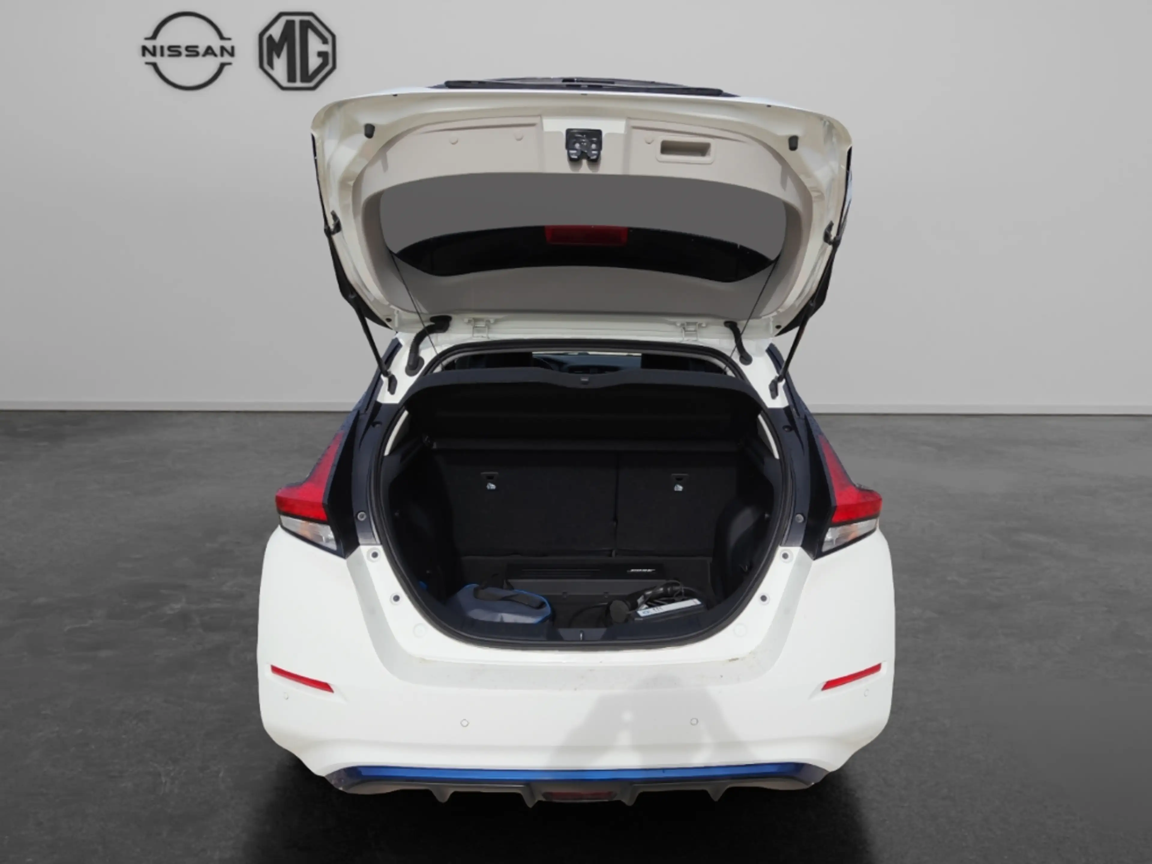 Nissan Leaf e+ Tekna Navi Leder Soundsystem Bose 360 Kamera LE — photo 12
