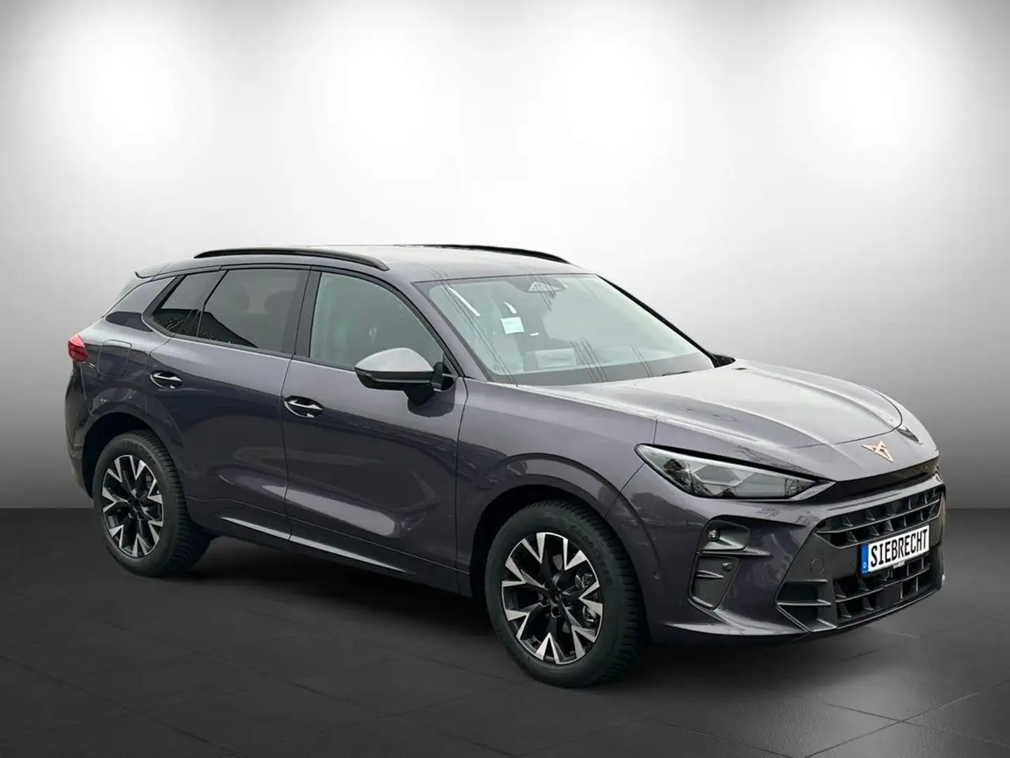 CUPRA Terramar 1.5 *NAVI*360°K*ACC*uvm Violett - 2