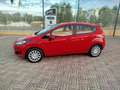 Ford Fiesta 1.5 TDCi 75CV 5 porte Business Rosso - thumbnail 3