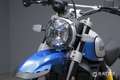 Ducati Scrambler 800 Desert Sled Bleu - thumbnail 6