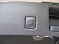 Ford Kuga ST-Line X Gris - thumbnail 14