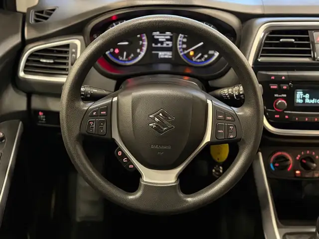 Suzuki S-Cross view 12