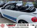 Volkswagen Beetle Cabriolet Turbo Sport, R-Line, Martini, 305PS Alb - thumbnail 14