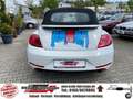Volkswagen Beetle Cabriolet Turbo Sport, R-Line, Martini, 305PS Alb - thumbnail 6